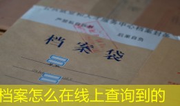 档案怎么在线上查询到的