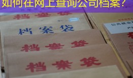 如何在网上查询公司档案？