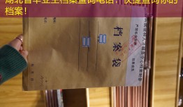 湖北省毕业生档案查询电话：快捷查询你的档案！