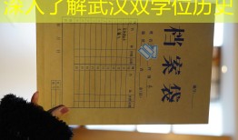 深入了解武汉双学位历史