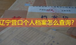 辽宁营口个人档案怎么查询？