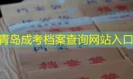 青岛成考档案查询网站入口