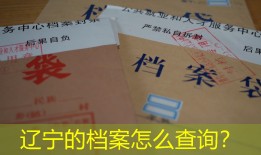 辽宁的档案怎么查询？