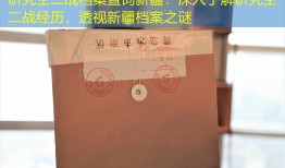 研究生二战档案查询新疆：深入了解研究生二战经历，透视新疆档案之谜