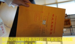 驻马店档案编码查询网站：探索驻马店档案编码，了解更多人事信息