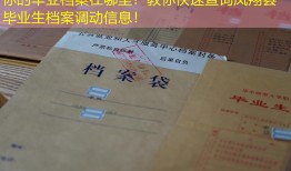 你的毕业档案在哪里？教你快速查询凤翔县毕业生档案调动信息！