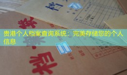 贵港个人档案查询系统：完美存储您的个人信息