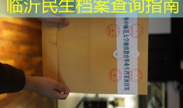 临沂民生档案查询指南