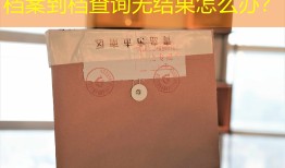 档案到档查询无结果怎么办？