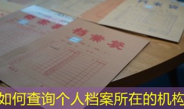 如何查询个人档案所在的机构