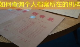 如何查询个人档案所在的机构