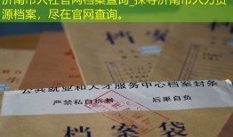 济南市人社官网档案查询_探寻济南市人力资源档案，尽在官网查询。