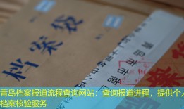 青岛档案报道流程查询网站：查询报道进程，提供个人档案核验服务
