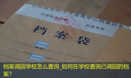 档案调回学校怎么查询_如何在学校查询已调回的档案？