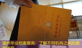 温州毕业档案查询：了解不同机构之间的查询流程