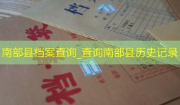 南部县档案查询_查询南部县历史记录