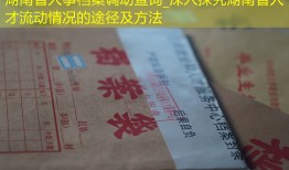 湖南省人事档案调动查询_深入探究湖南省人才流动情况的途径及方法