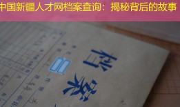 中国新疆人才网档案查询：揭秘背后的故事