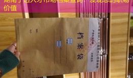 湖南宁远人才市场档案查询：发现您的职场价值