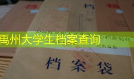 禹州大学生档案查询