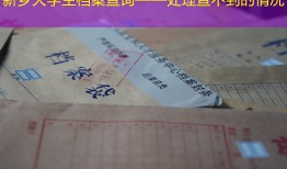 新乡大学生档案查询——处理查不到的情况