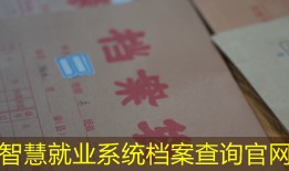 智慧就业系统档案查询官网