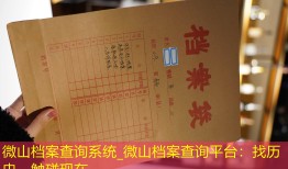 微山档案查询系统_微山档案查询平台：找历史，触碰现在。