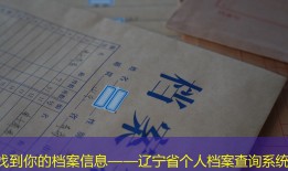 找到你的档案信息——辽宁省个人档案查询系统