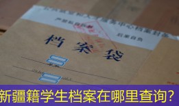 新疆籍学生档案在哪里查询？