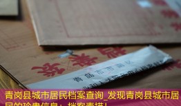 青岗县城市居民档案查询_发现青岗县城市居民的珍贵信息：档案素描！