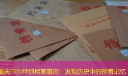 重庆市沙坪坝档案查询：发现历史中的珍贵记忆