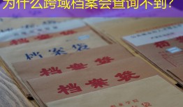 为什么跨域档案会查询不到？