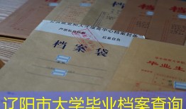 辽阳市大学毕业档案查询