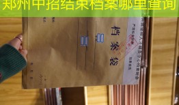 郑州中招结束档案哪里查询