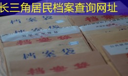 长三角居民档案查询网址