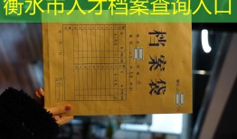 衡水市人才档案查询入口
