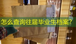 怎么查询往届毕业生档案？