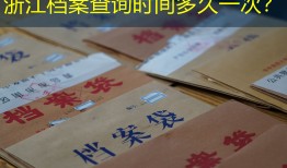 浙江档案查询时间多久一次？