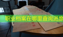 职业档案在哪里查询进度