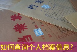 如何查询个人档案信息？