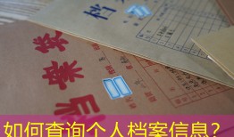如何查询个人档案信息？