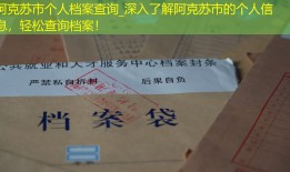 阿克苏市个人档案查询_深入了解阿克苏市的个人信息，轻松查询档案！