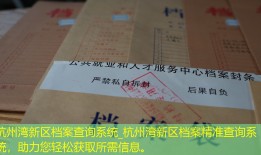 杭州湾新区档案查询系统_杭州湾新区档案精准查询系统，助力您轻松获取所需信息。