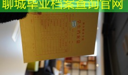 聊城毕业档案查询官网