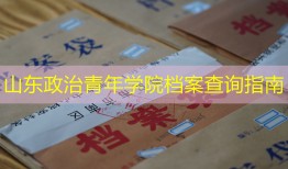 山东政治青年学院档案查询指南