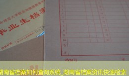 湖南省档案如何查询系统_湖南省档案资讯快速检索