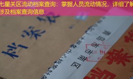七星关区流动档案查询：掌握人员流动情况，详细了解涉及档案查询信息