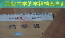 职业中学的学籍档案查询