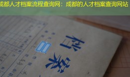 成都人才档案流程查询网：成都的人才档案查询网站