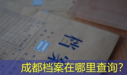 成都档案在哪里查询？